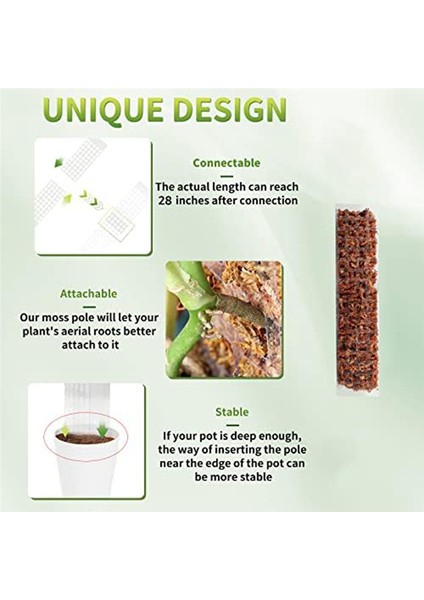 Monstera Bitkileri Için 6 Adet Plastik Yosun Direği, Tırmanıcı Bitkiler Için Bitki Direkleri, Iç Mekan Bitkileri Için Bitki Desteği (Yurt Dışından) fırsatları