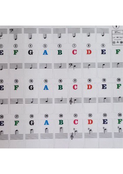 Siyah Beyaz Piyano Klavye Çıkartmaları, Cesur Harf Piyano Çıkartmaları, Çocukların Piyano Öğrenmesi Için Çok Uygun (Yurt Dışından) fiyatları