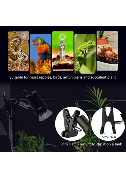 50W Ampullü Sürüngen Isıtma Lambası, Güneş Işığını Simüle Eden Spot Işığı, Kaplumbağa ve Kertenkele Için Isıtma Lambası, Abd Fişi (Yurt Dışından) modelleri
