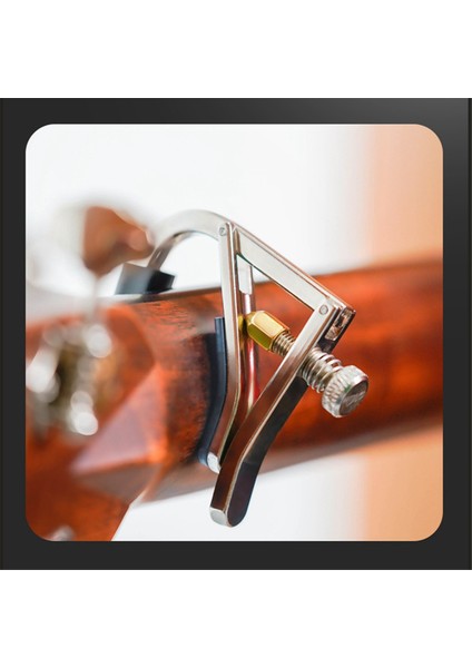 Alice Capo Capo, Halk Gitarında, Genişletilmiş Zift Transpozisyonunda, Ayarlanabilir Yoğunlukta Kullanılabilir (Yurt Dışından) fiyatları