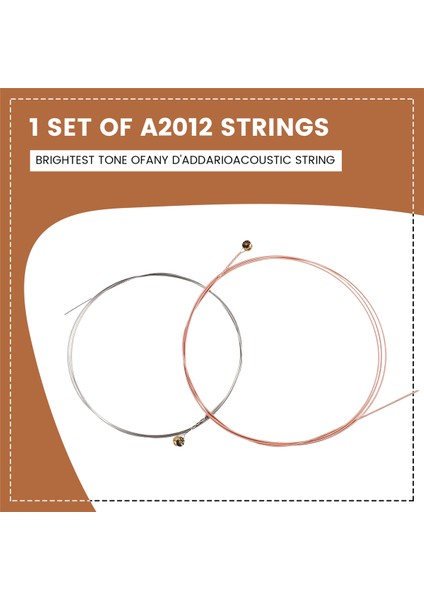 Alice A2012 12 Strings Akustik Gitar Dizeleri 010-026 Müzik Enstrümanı Gitar Parçaları Aksesuarları 12 Gitar Dizeleri 1 Set (Yurt Dışından) fırsatları