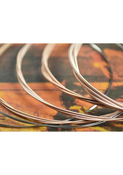 Alice A206SL Akustik Gitar Dizeleri Dize Set Paslanmaz Çelik Kaplamalı Fosfor Bronz Kürek Anti 1.-6th Guar Strings (Yurt Dışından) fiyatları