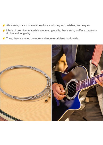 Alice Electric Gitar Dizeleri Altıgen Çekirdek Demir Alaşım Sargılama Dizesi 22-24 Frets Elect Gitars AE536-SL (Yurt Dışından) modelleri