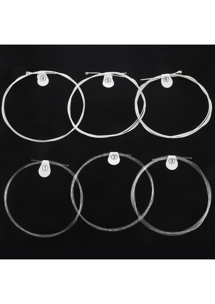 Ziko Dpa-70 Klasik Gitar Dizeleri Naylon Çekirdek Gümüş Kaplama Bakır Yara Yüksek Gerginlik (Yurt Dışından) fırsatları