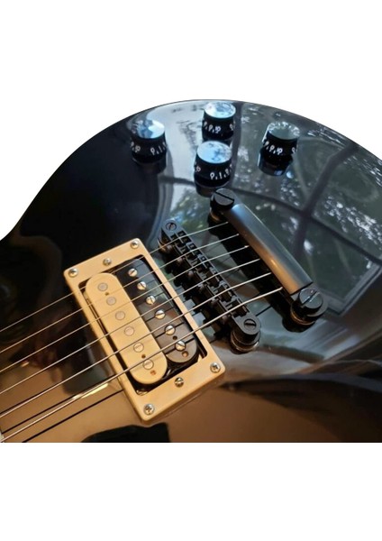 Abr-1 Köprü Tarzı Les Paul Lp Için Ayarlanan Saplamalı Tune-O-Matic Köprüsü ve Kuyruk Yayını, Gümüş, Gümüş (Yurt Dışından) modelleri