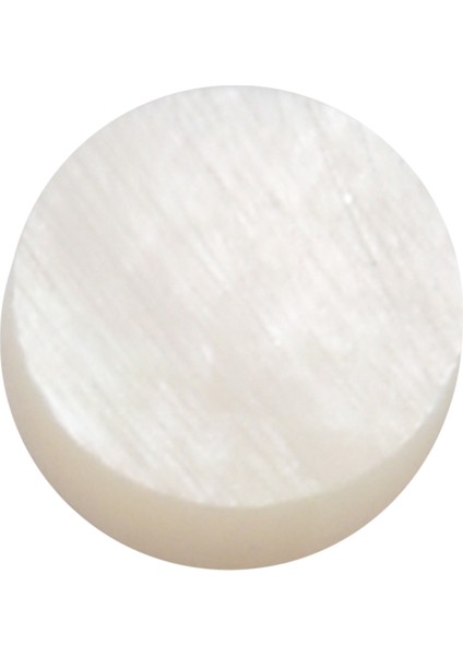 12 Beyaz Beyaz Annesi Luthier Noktalar Maden Fret Yan Işaretçisi 6mm (Yurt Dışından)