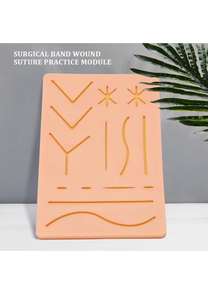 Yeni Cilt Sütü Eğitim Kiti Pad Sütü Eğitim Kiti Suture Pad Travma Aksesuarları Uygulama ve Eğitim Kullanımı (Yurt Dışından) fiyatları