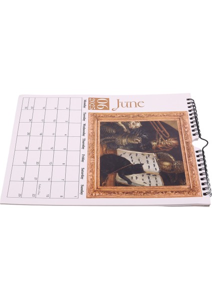 2025 Ortaçağ Kedileri Takvim Garip Kediler Takvim Komik Duvar Takvimi Yeni Yıl Ev Dekorasyonu Için Hediyeler (Yurt Dışından) modelleri