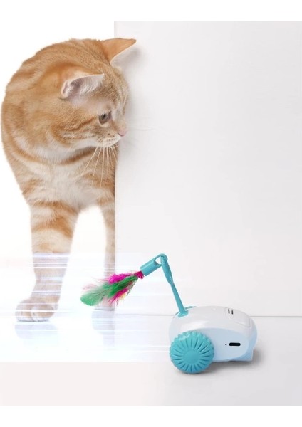 Şarjlı Robot Kedi Oyuncağı fırsatları