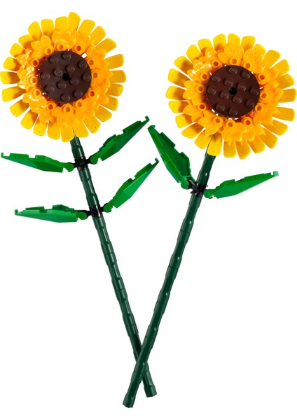 ® Botanicals Ayçiçeği 40524 - 8 Yaş & Üzeri Çocuklar için Çiçek Model Yapım Seti (191 Parça)