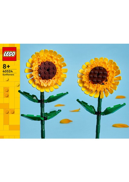 ® Botanicals Ayçiçeği 40524 - 8 Yaş & Üzeri Çocuklar için Çiçek Model Yapım Seti (191 Parça) fiyatları