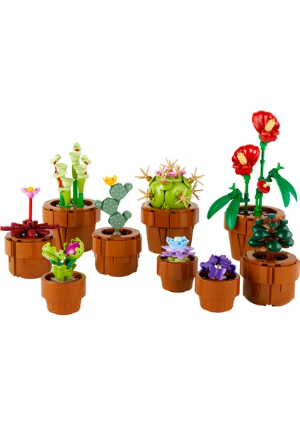 ® Botanicals Minik Bitkiler 10329 - Yetişkinler için Dekoratif, Sergilenebilir Yaratıcı Çiçek Model Yapım Seti (758 Parça)