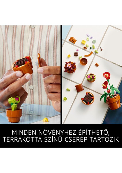 ® Botanicals Minik Bitkiler 10329 - Yetişkinler için Dekoratif, Sergilenebilir Yaratıcı Çiçek Model Yapım Seti (758 Parça) fırsatları