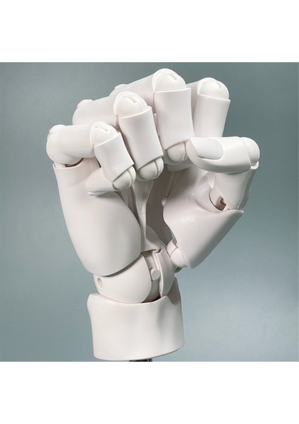 Evrensel Esnek El Modeli, Taşınabilir Sanatçı Manken El Şekli, A (Yurt Dışından) modelleri