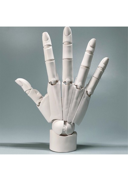 Evrensel Esnek El Modeli, Taşınabilir Sanatçı Manken El Şekli, A (Yurt Dışından) indirimleri