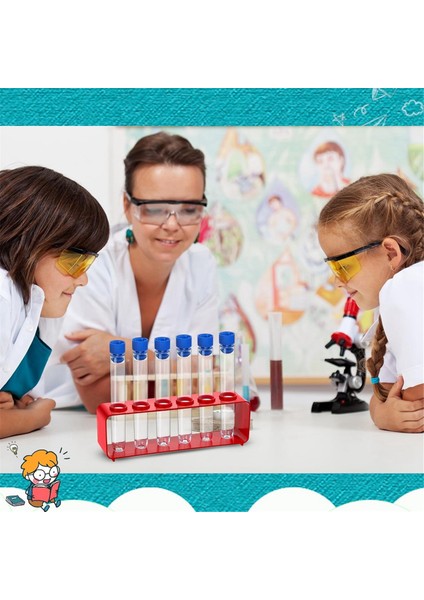 2 Takım 15X100MM Kapaklı Plastik Test Tüpleri ve 6 Delikli Tutucu Rafı (Yurt Dışından) fırsatları