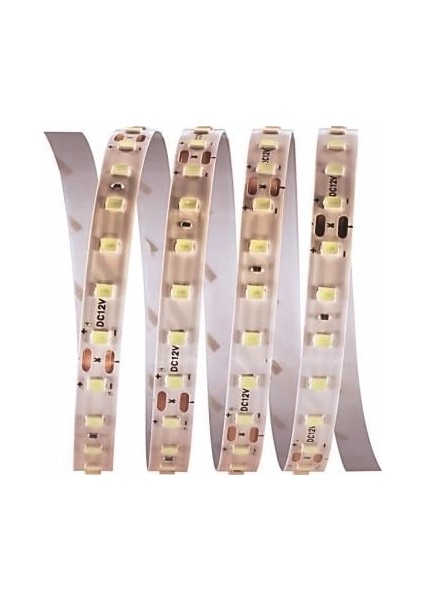 5 Metre Cata Ct 4540 Iç Mekan 12V 120 Ledli Şerit LED 3200K Gün Işığı