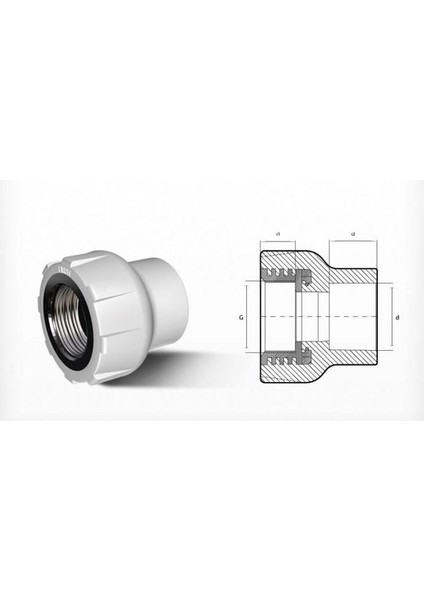 Ege Yıldız Pprc 50X1 1/2 Dişi Adaptör Gri