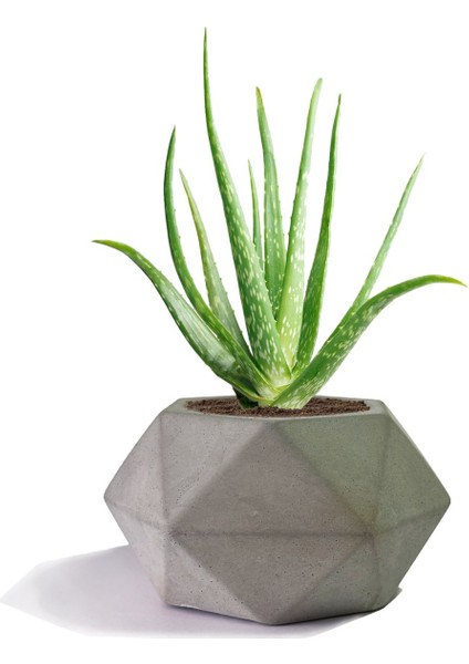 Altıgen Dekoratif Döküm Beton Saksı 16X17 cm
