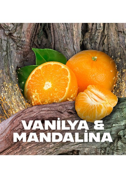 Axe Africa Erkek Deodorant Sprey 150 ml fırsatları