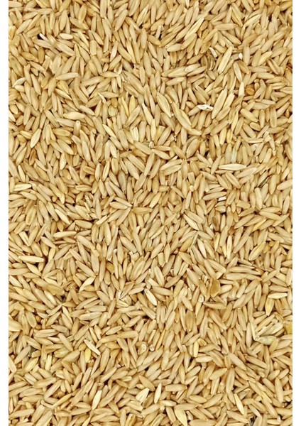 Tüm Kuşlar Için Doğal Taze Soyulmuş Iç Yulaf - 500 gr modelleri