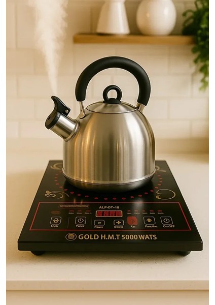 Alp-13 Ailipu Akıllı Lazer Ocak 5000WATT Alipu fiyatları