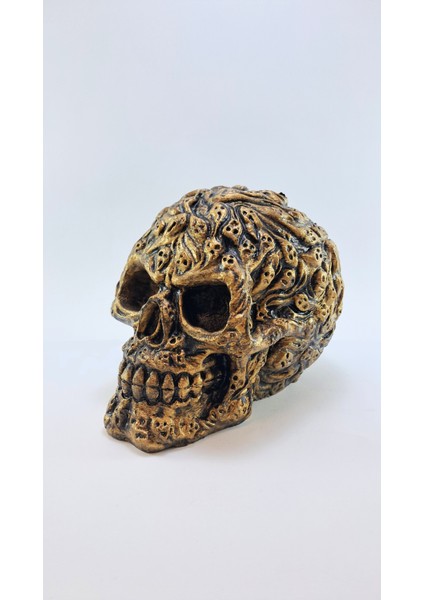 Ruh Kafatası Kalemlik fiyatları