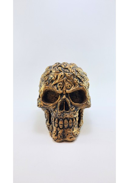 Ruh Kafatası Kalemlik modelleri