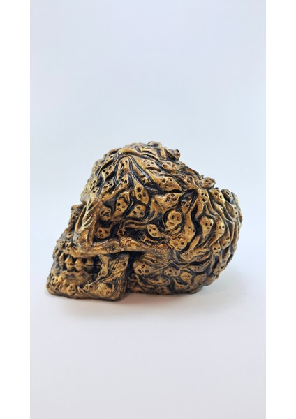 Ruh Kafatası Kalemlik fırsatları