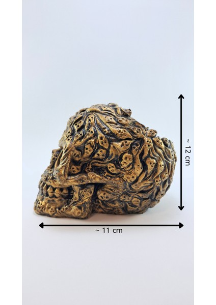 Ruh Kafatası Kalemlik