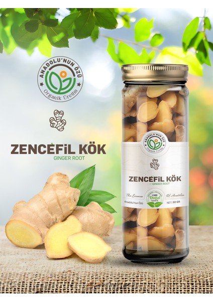 Zencefil Kök ''50GR'' fiyatları