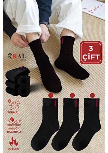 Termal Kışlık Kalın Çorap (3 - Çift) Erkek Kadın Unisex Pamuklu Havlu Çorabı