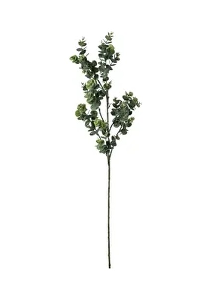 Branch Yeşil Dal Çiçek 74CM