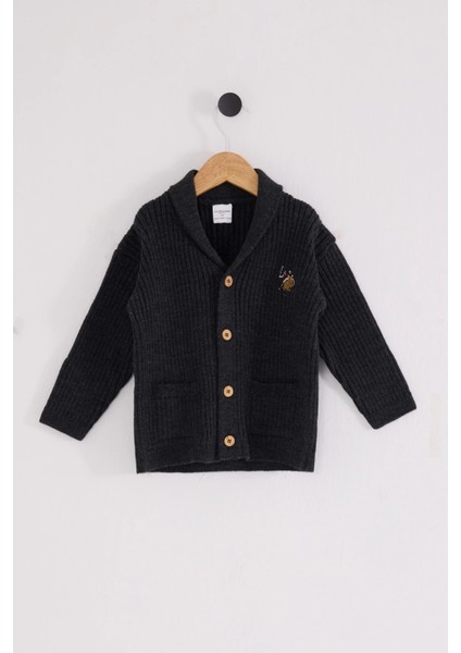 U.s. Polo Assn Bebek Hırka USB2608 Antrasit Melanj