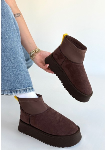 Kahverengi Süet Bot