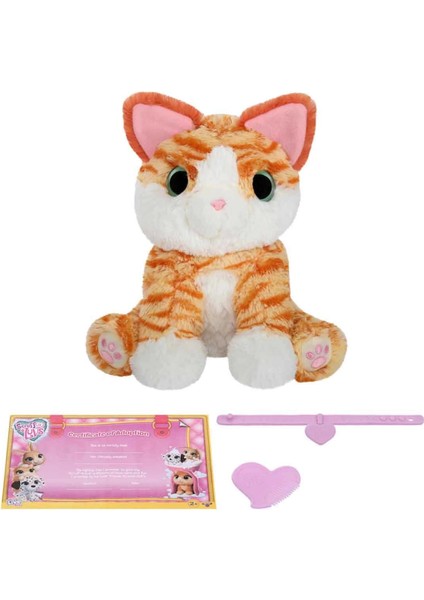 Gıochı Prezıosı Scruff A Luvs Klasik Seri Sürpriz Kutu