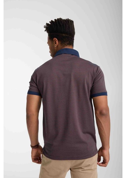 Polo Çizgili Kahverengi Slim Fit fiyatları