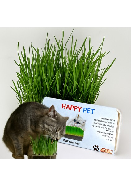 Kedi Çimi Seti 100GR. Karışım Çim Taze Paket (PET25)