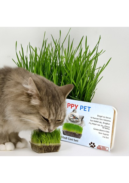 Kedi Çimi Seti 100GR. Karışım Çim Taze Paket (PET25)