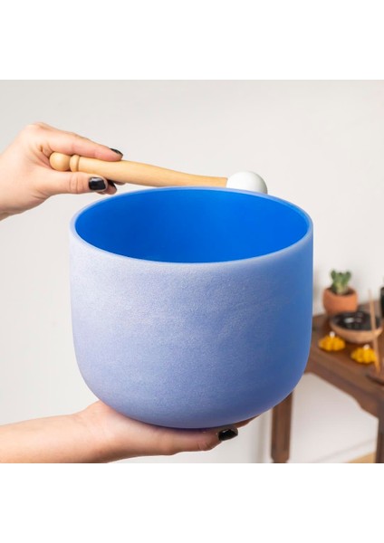Indigo Kristal Quartz Kase fiyatları