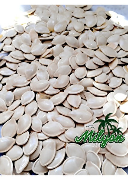 Çiğ Nevşehir Kabak Çekirdeği 500 gr fiyatları