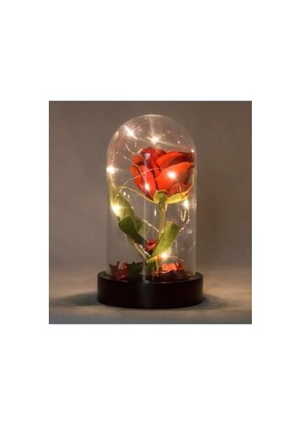 Anneler Gününe Özel LED Işıklı Fanus Içinde Kırmızı Yapay Gül