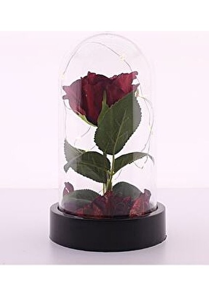 Anneler Gününe Özel LED Işıklı Fanus Içinde Kırmızı Yapay Gül fiyatları