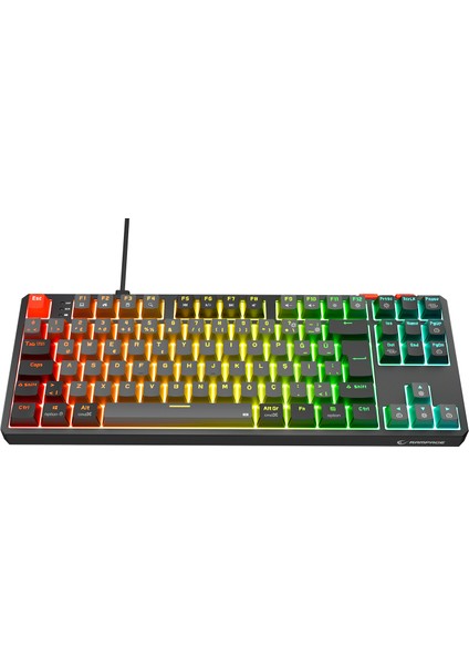 Yoru Tkl Gri/siyah Type-C Bağlantılı Outemu Red Swich Q Mekanik Gaming Oyuncu Klavye Rgb