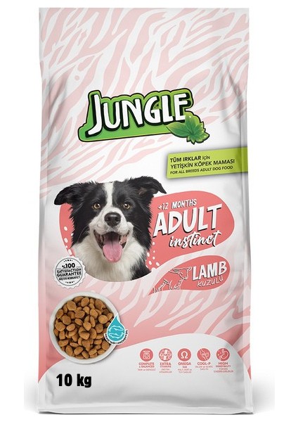 10 kg Kuzu Etli Yetişkin Köpek Maması