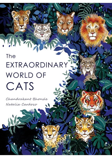 The Extraordinary World Of Cats - Ingilizce Resimli Çocuk Kitabı