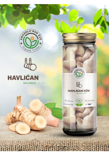 Havlıcan Kök ''30GR'' fiyatları