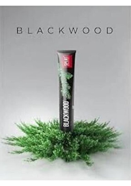 Special Blackwood Beyazlatıcı Diş Macunu 75 ml 5'li Set İtalya Menşeli indirimleri