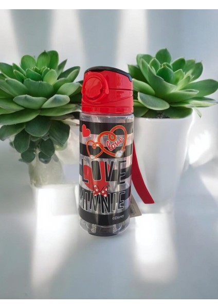 Minnie Mouse Kız Çocuk Matara-Suluk fiyatları