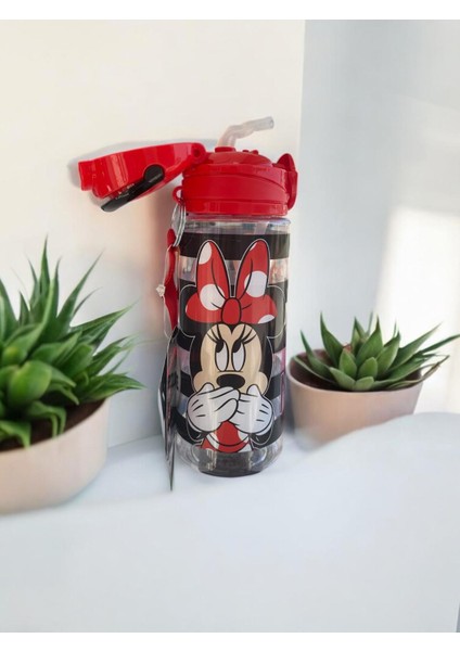 Minnie Mouse Kız Çocuk Matara-Suluk modelleri